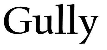 Official logo of gully